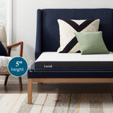 LUCID 5 Inch Firm Gel Memory Foam Mattress + Premium 100% Waterproof Cotton Terry Top Mattress Protector - Queen Size LUCID
