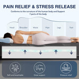 CH CHARME HOUSE Bamboo-Charcoal Queen Memory Foam Mattress 14 Inch, with Liquid Gel for Cooling Sleep and Pressure Relief, Bed in a Box, Made in USA CertiPUR-US Certified, 60'x80'x14', Black CH CHARME HOUSE