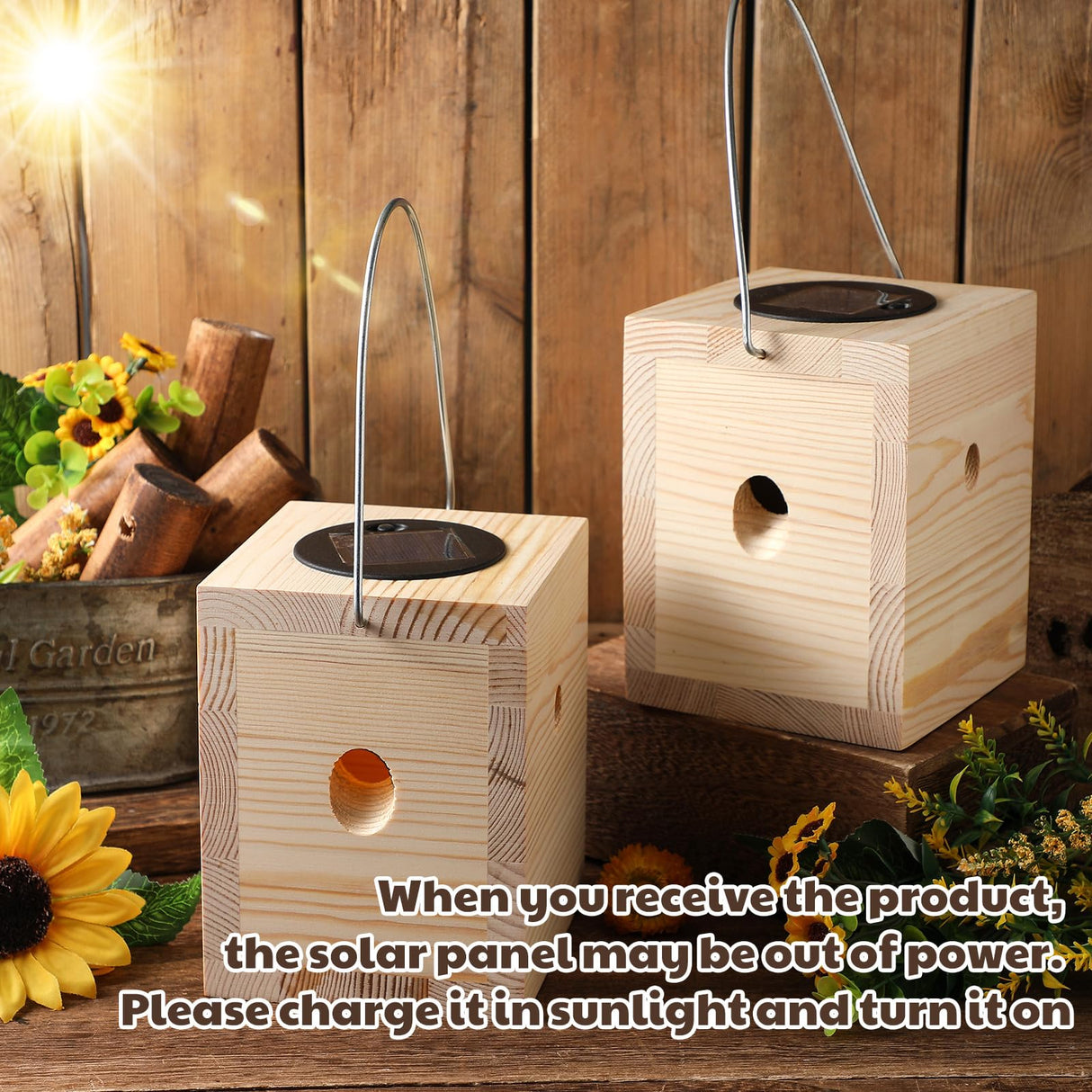 Qualirey 2 Pack Wood Carpenter Bee Traps with Solar Lights, Wasp Traps Outdoor Hanging Hornet Traps Effective Boring Hornet Trap for Outdoor Gardens Patios, 4.1'' W x 4.8'' H x 5.9'' D Qualirey