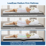 Mattress Queen Size, 12 Inch Queen Hybrid Mattress in a Box, Memory Foam with Firm Individually Wrapped Pocket Springs, Pressure Relief & Motion Isolation, CertiPUR-US Certified, 60" x 80" x 12" LoadEase