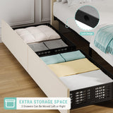 GarveeHome Twin Size Bed Frame with Adjustable Headboard and 2 Storage Drawers, Velvet Upholstered Tufted Twin Platform Bed Frames with Wooden Slats Support, Bedframe No Box Spring Needed, Beige/Cream GarveeHome