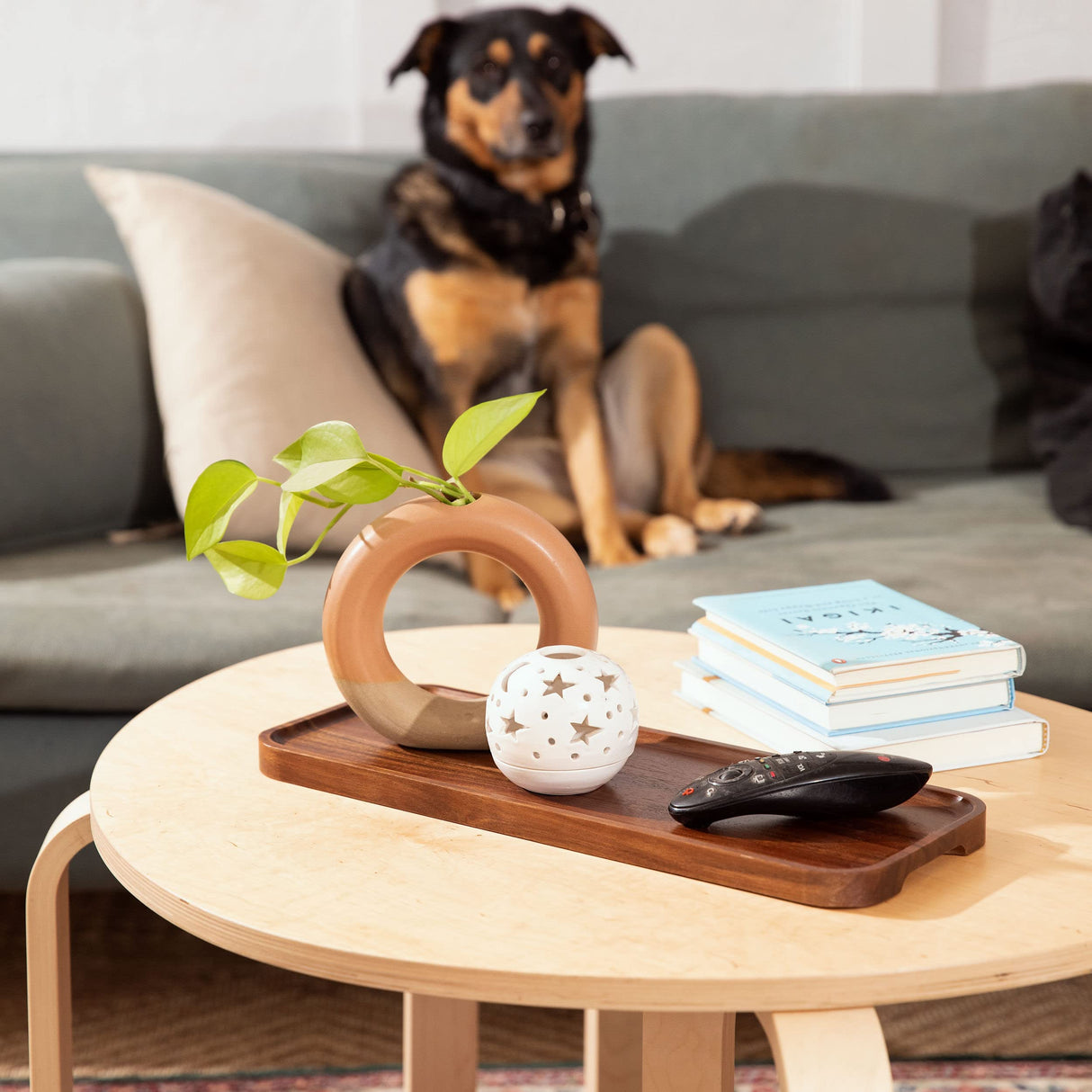 Large Solid Acacia Wood Serving Trays (17 x 6.5 inches) Rectangular Wooden Serving Platters for Home Decor, Food, Vegetables, Fruit, Charcuterie, Appetizer Serving Tray, Cheese Board (Set of 3 Plates) Home Beets