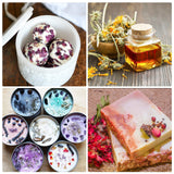 40 Bags Natural Dried Flowers Kit, Natural Dried Herbs with 2 Mesh Drawstring Bag for Soap,Candle,Resin Jewelry Making,Bath,Nail - Rose Petals,Rosebuds,Lilium,Jasmine,Don't Forget Me and More SACATR