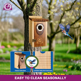 SISTERBIRD Bird Houses for Outside, Premium Wooden Bluebird Houses for Outside, Assembly Birdhouses for Outdoors, Weatherproof Bird House, Bluebird Finch Swallow Wren Chickadee SISTERBIRD