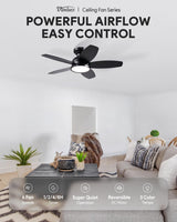 VONLUCE Ceiling Fans with Lights, 36 Inch Ceiling Fan and Remote, Full-spectrum LED Light, 3CCT, 6-Speeds Noiseless Reversible DC Motor, Modern Ceiling Fan for Bedroom Living Room Farmhouse, Black VONLUCE