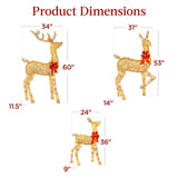 Best Choice Products 3-Piece Large Lighted Christmas Deer Family Set 5Ft Outdoor Yard Decoration with 360 LED Lights, Stakes, Zip Ties - Gold Best Choice Products