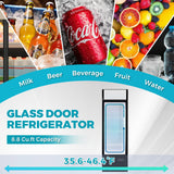Bluelinecool Commercial Refrigerators Glass Door, 9 Cu.Ft Upright Commercial Beverage Fridge with Front LED Light, Display Refrigerator for Beer, Bar, Drink Bluelinecool