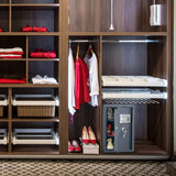 Digital Safe - Home or Office Locked Box for Money, Handguns, Jewelry, and Important Documents by Paragon Safes (Dark Gray) Paragon Lock & Safe