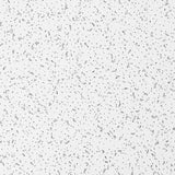 Armstrong Ceiling Tiles; 2x4 Ceiling Tiles - 10 pc White Ceiling Tiles; Acoustic Ceilings for Suspended Ceiling Grid; Random Textured 933 Armstrong