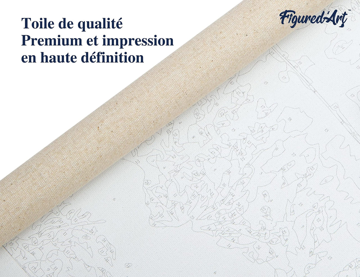 Figured'Art Paint by Numbers Kit for Adults Full Moon with Colourful Reflections 16"x20" - Craft Art Painting DIY Kit Rolled Canvas Without Frame Figured'Art