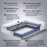 Full Mattress, 14 Inch Hybrid Full XL Mattress in a Box with Gel Memory Foam & Individually Pocket Springs, Medium Firm for Pressure Relief, Motion Isolation, Back Pain Relief CertiPUR-US Certified bellable