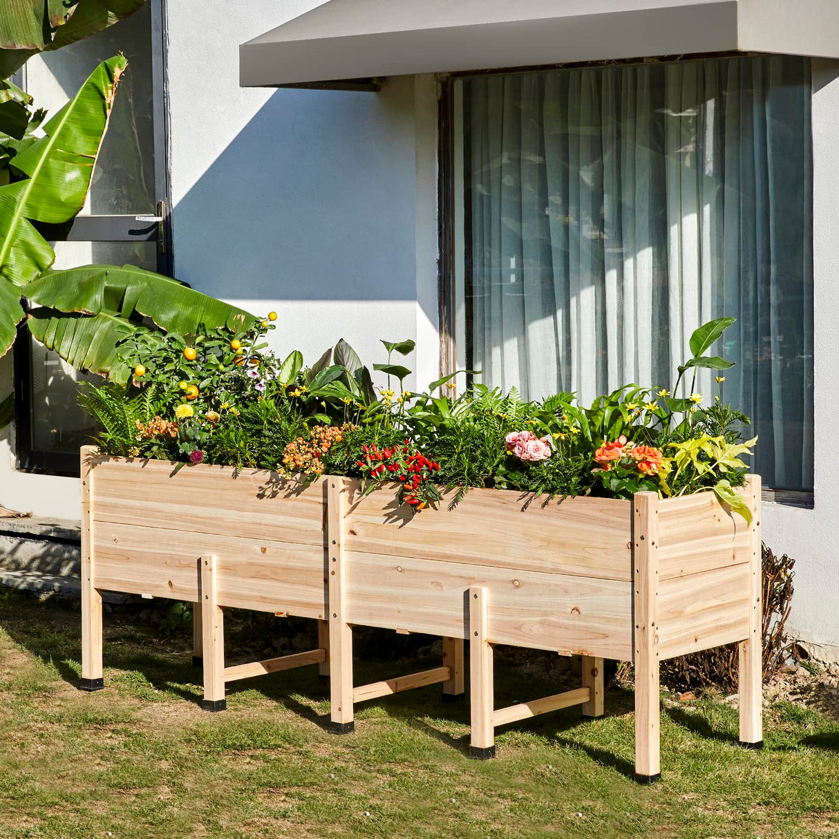 Amerlife 8x2 Ft Raised Garden Bed, 16 Inch Depth Featuring Legs, Drainage Holes, Ideal for Vegetables, Flowers, Herbs, Elevated Wood Planter Box for Balcony, Patio, Backyard, Easy Assembly Amerlife