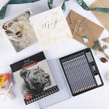 Brusarth Professional Sketch Pencils for Drawing Set - Graphite Pencils (4H-10B), Graphite Sticks, Erasers and Sharpener, Art Pencils for Sketching- Ideal for Artists and Beginners,17Pcs Brusarth