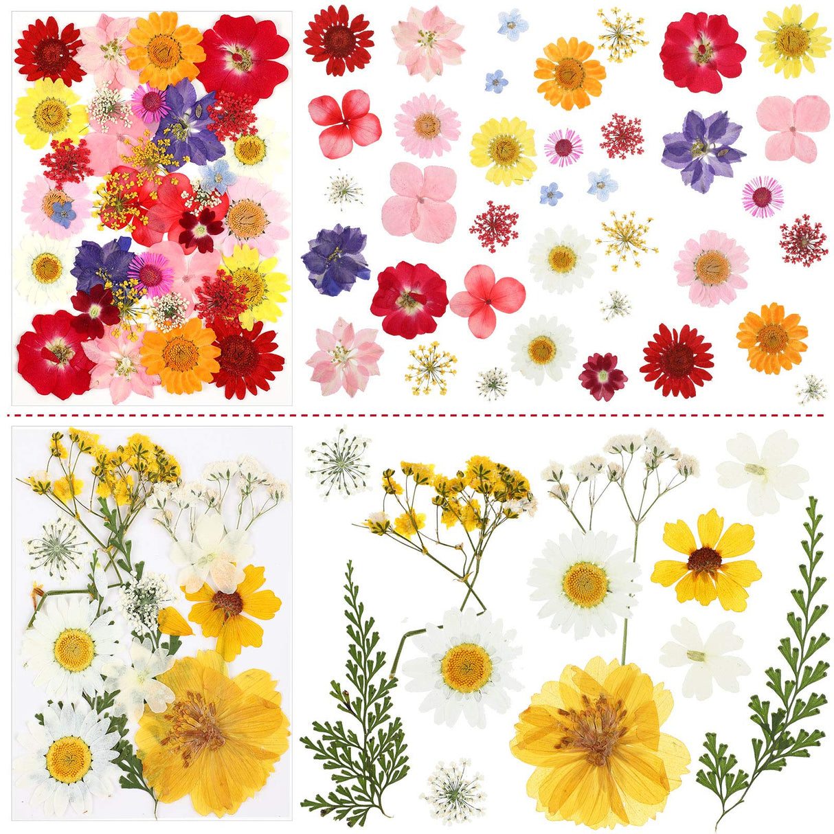 Nuanchu Pressed Flowers Bulk Dried Flower for Crafts, Dried Flower Leave Natural with Tweezer for Resin Mold Scrapbooking DIY (Classic Style) Nuanchu