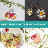 Resiners 100Pcs Dried Pressed Flowers for Resin Molds, Red Real Natural Dried Flowers Dry Leaves kit for Scrapbook Supplies Card Making Resin Jewelry Making Soap Candle DIY Crafts Resiners