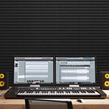 TONOR 4-Pack Bilayer Acoustic Panels Large Self-adhesive, 48” * 24” * 0.72” Adhesive Wall Panel, Large Soundproof Tiles for Echo Absorbtion, Acoustical Barrier of Polyester Fiber, Black TONOR