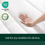ZINUS 12 Inch True Support Hybrid Mattress [New Version], Full, Fiberglass Free, Medium Feel, Motion Isolation, Certified Safe Foams & Fabric, Mattress in A Box ZINUS