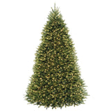 National Tree Company Pre-Lit Artificial Full Christmas Tree, Green, Dunhill Fir, Dual Color LED Lights, Includes Stand, 9 Feet National Tree Company