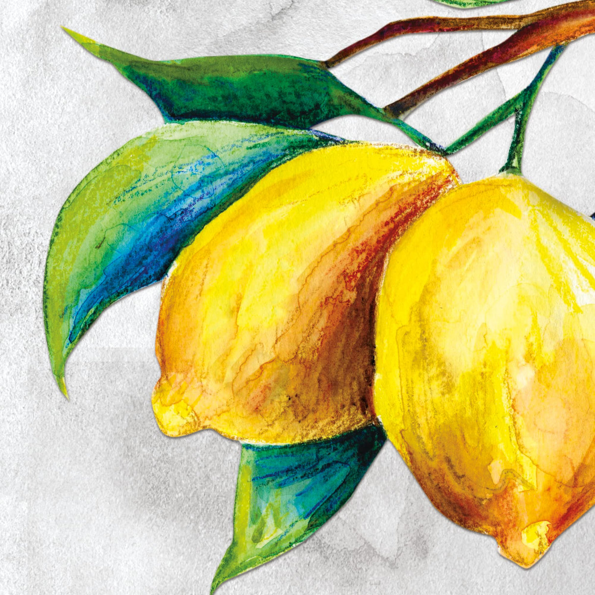 Grumbacher 8" x 8" Cold Press Watercolor Paper Pad, 140 lb. / 300 GSM, Fold-Over, 30 Sheets/Pad, 1 Each Grumbacher