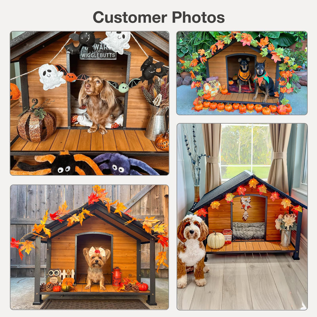 MEDEHOO Outdoor Weatherproof Dog House with Insulated - Large All-Around Iron Frame - Fir Wood Construction - Ideal for All Dog Breeds (Medium) MEDEHOO