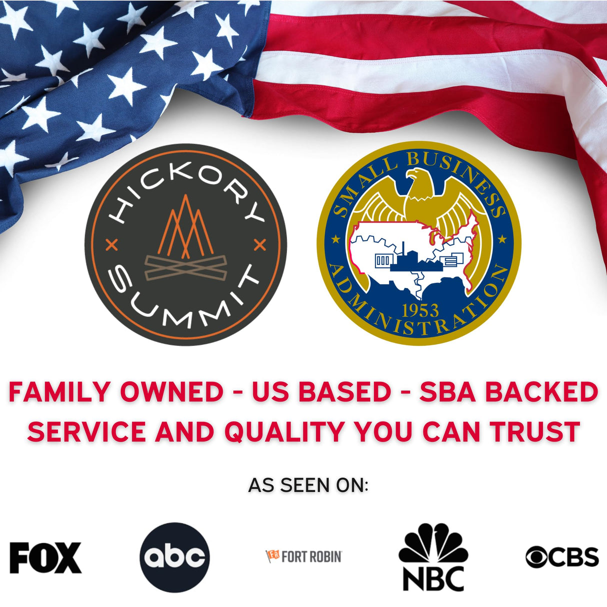 Steam Grill Brush Bristle-Free – Stainless Steel, No-Wire BBQ Grill Brush - Steams Ice as it Cleans Grates – 3 Lb., Heavy-Duty Cleaning Machine by Hickory Summit Hickory Summit