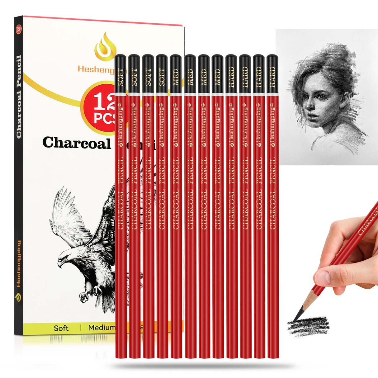 Heshengping Professional Charcoal Pencils Drawing Set -12 Pieces Soft, Medium Hard Charcoal Pencils for Drawing Sketching Shading Artist Pencils for Beginners Artists Heshengping