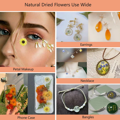 50 Pcs Dried Flowers for Resin,Real Pressed Flowers Leaves Mixed Multiple Natural Kit for Christmas DIY Gift,Art Crafts,Candle, Soap Making, Nails Decor Flyekist