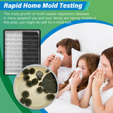 Mold Test Kit for Home - 12 Simple Detection Tests,Test HVAC System,Home Surfaces,& Indoor Air Quality Testing Kits,DIY Mold Detector at Home,includes Detailed Mold Identification Guide,air tester KAYENQO