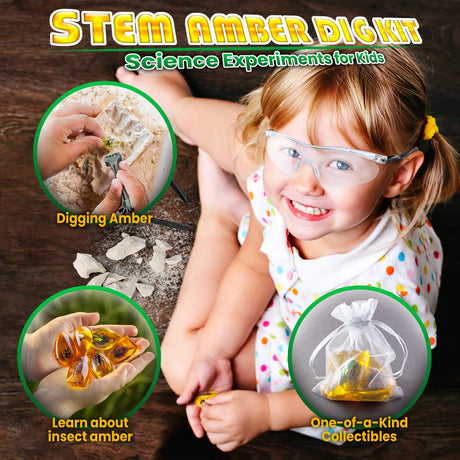 GobiDex Amber Dig Kit-Artificial Insect Resin, Excavate 6 Insects Specimens, STEM Geographic Educational Bugs Toys, Excavation Toys for Fun Bugs Party Favors, Science Kits for Kids Age 6-8 8-12 GobiDex