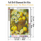 CHWGLFGG 5D Diamond Art Kits for Adults Beginners, Lemons Diamond Painting Kits, DIY Full Round Drill Paint by Diamonds Dot Gem Art for Adults, Home Wall Decor 12x16 Inch CHWGLFGG