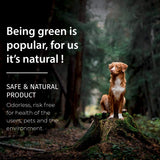 SamaN Interior One Step Wood Seal, Stain and Varnish – Oil Based Odorless Dye - Protection for Furniture and Fine Wood (Brazilian Cherry SAM-306, 8 SamaN