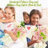 Pipe Cleaners Craft - Pipe Cleaners Flowers, Pipe Cleaner Flower Kit, DIY Pipe Cleaners Flower Bouquet Craft Supply Kit for Art Project Activity, Birthday Mother’s Day Anniversaries Graduations Gifts ERNTRNL