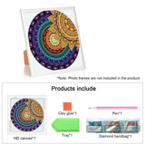 MVVMTOP Diamond Art Painting Kit, DIY Mandala 5D Special Shape Crystal Diamond Partial Diamond Art Painting Mosaic Making Craft, Suitable for Home Wall Decor Art Holiday Gift, AT127 MVVMTOP