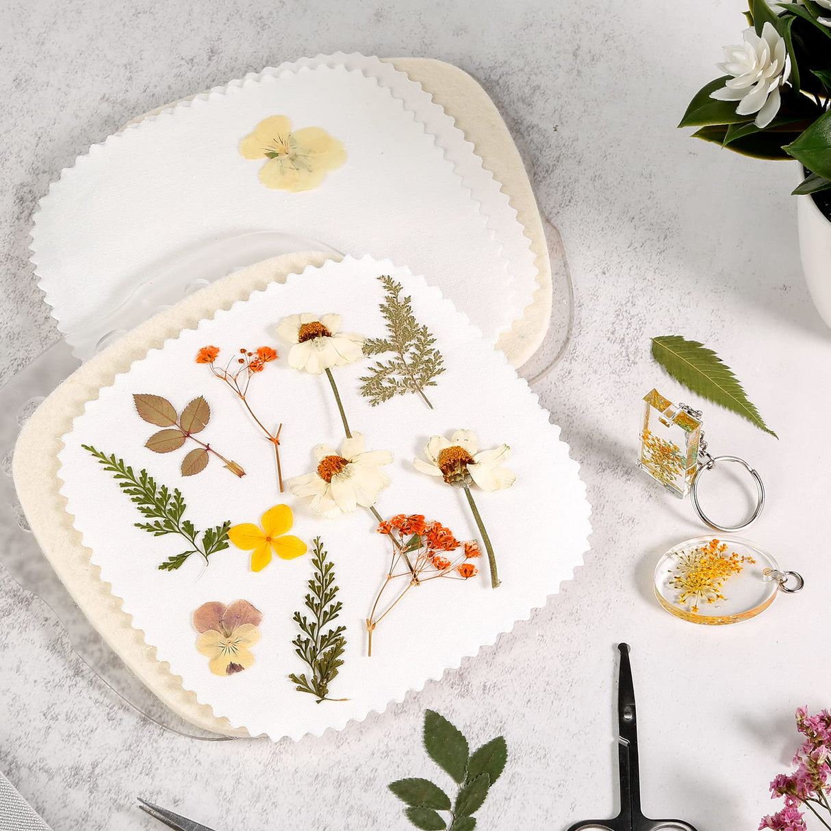 Aboofx Microwave Flower Press Kit, 6.3"x6.3" Quick Dry Flower Pressing Kit with Washable Cloth for Crafts Pressed Flowers and Plant for DIY Art, Preservation for Bookmark Frame Wedding Flowers Drying Aboofx