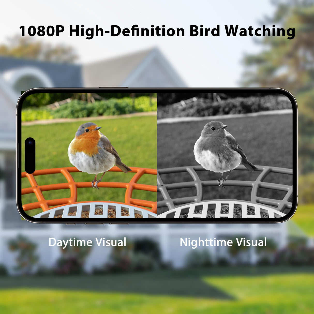 Birdkiss Smart Bird Feeder with Camera Solar Powered, 1080P HD Wild Bird Watching Cam Auto Capture Videos and AI Identify, Squirrel Proof Metal Bird Feeders, Ideal Gift for Bird Lovers (Orange) Birdkiss