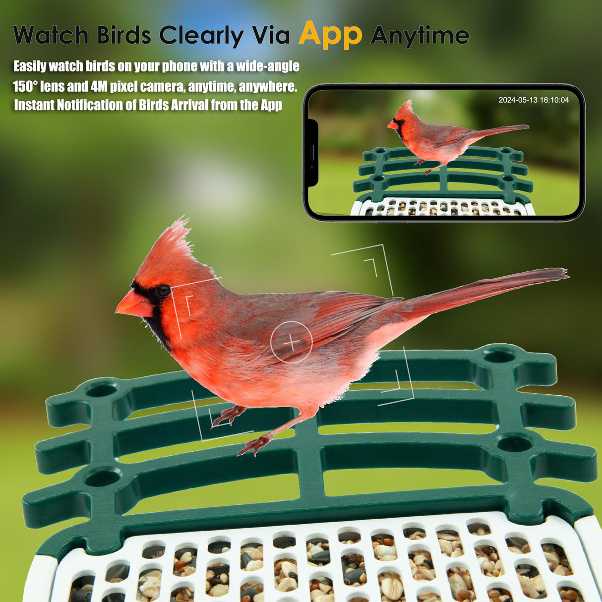 ImmSss Bird Feeder with Camera,Smart AI Identify Bird Species,Solar Hummingbird House Outdoor with 2.5K HD Cam,Live View,Instant Alerts,Capture Bird Video,Squirrel-Proof,Ideal Gift for Bird Lover ImmSss