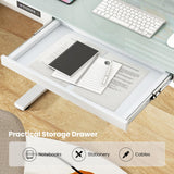 Tangkula Glass Standing Desk with Drawer, 48” x 24” Height Adjustable Electric Stand Up Desk with Tempered Glass Top, Sit Stand Desk with Memory Positions & USB Type-C Outlets for Home Office (White) Tangkula