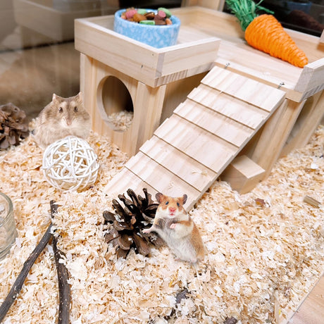 Acsist Wooden Hamster Hideout Hamster Wood House with Ladder Habitats Decor Detachable Small Animals Cage Accessories for Rat Gerbils and Other Small Pets Acsist
