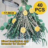 5 Kinds Mixed PCS Dried Eucalyptus & Lavender Flowers Bundle for Shower, 40 PCS 15''-17''Natural Real Fresh Preserved Eucalyptus Leaves and Lemon Shower Hanging Plants, Home Bathroom Decor, Fragrance Gifugi