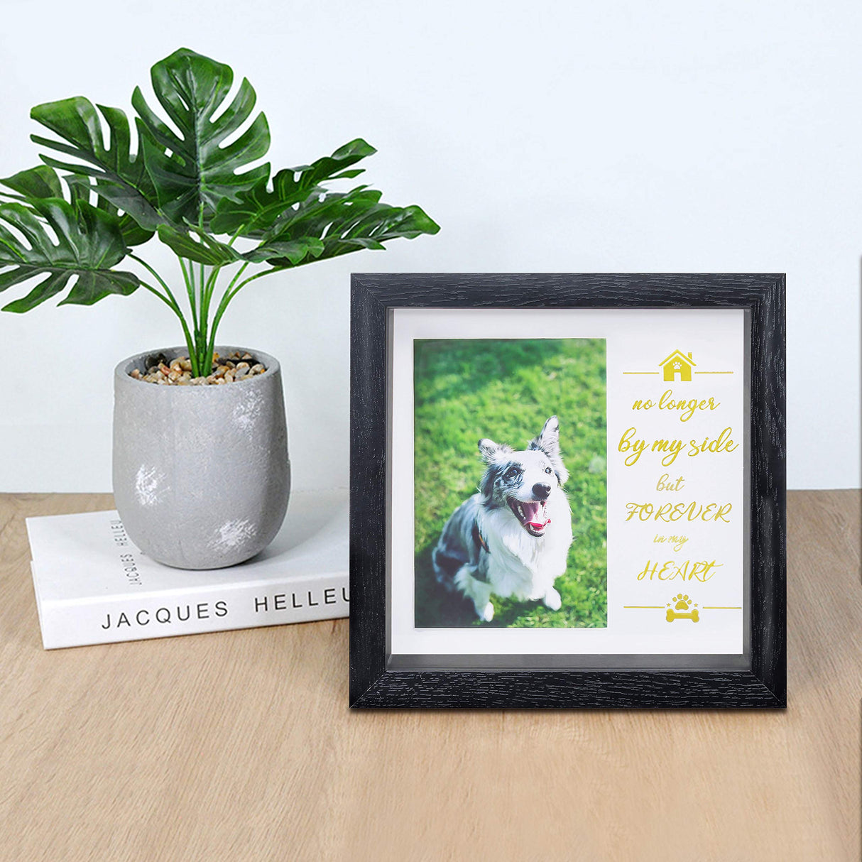 KCRasan Pet Picture Frame - Memorial Frame for Loss of Dog or Cat - Pet Collar Frame Remembrance Sympathy Keepsake KCRasan