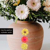 10PCS Daisy Flower Silicone Mold Chrysanthemum Flower Silicone Mold with Large-Eye Wicking Needle,Candlewick Resin Candle Molds DIY Soap Concrete Casting Polymer Clay Cupcake Topper Candy Craft TYMKLMZG