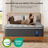 Nedersal Queen Mattress,10 Inch Hybrid Mattress with Gel Memory Foam, Individually Pocket Innerspring Top Mattresses,5 Coils Strong Edge Support, Used for Motion Isolation,100 Night Trial. Nedersal