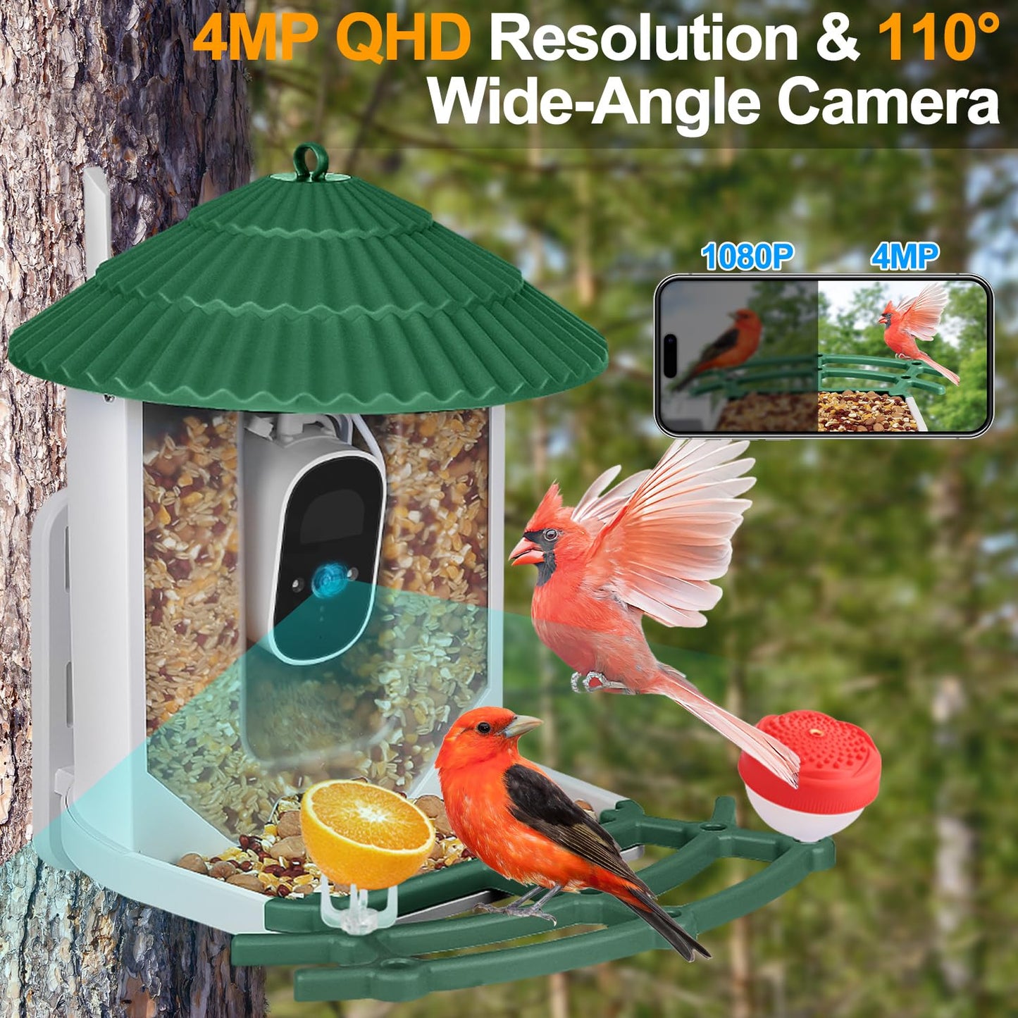 Smart Bird Feeder with Camera, 4MP Bird Feeder Camera Wireless Outdoor, APP Control, Batteries & Solar Powered, Color Night Vision, 10000+ AI Identify Bird Species, Ideal Gift for Bird Lover