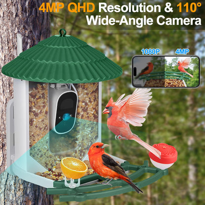 Smart Bird Feeder with Camera, 4MP Bird Feeder Camera Wireless Outdoor, APP Control, Batteries & Solar Powered, Color Night Vision, 10000+ AI Identify Bird Species, Ideal Gift for Bird Lover