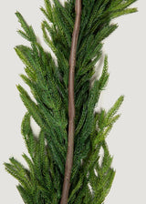 Afloral Real Touch Norfolk Pine Entry/Staircase Garland - 180" Long Afloral