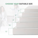 Queen Mattress in a Box, 10 inch Mattresses for Platform Bed Double Size Daybed, Green Tea Memory Foam Medium Firm MLILY