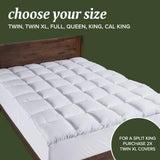 Beckham Hotel Collection Queen Size Mattress Pad (Extra Padded) & Protector Hybrid - Quilted Pillow Top Mattress Cover - Thick, Plush, Fitted Mattress Topper for Bed Beckham Hotel Collection