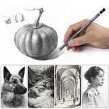 HNIHUY Professional Sketch Pencils Set, 17 Pcs, Graphite Pencils (8B-4H), Erasers and Sharpener, Art Drawing Pencil for Artists Beginner Sketching WoodArtSupply