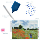 DIAMOND DOTZ Poppy Fields (apr?s Monet) Diamond Painting Kits for Adults - Diamond Art Kits a Relaxing Creative Craft Kit with Dotz Gems 22x16 DIAMOND DOTZ