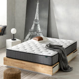 ZINUS 10 Inch True Support Hybrid Mattress [New Version], Queen, Fiberglass Free, Medium Feel, Motion Isolation, Certified Safe Foams & Fabric, Mattress in A Box Zinus